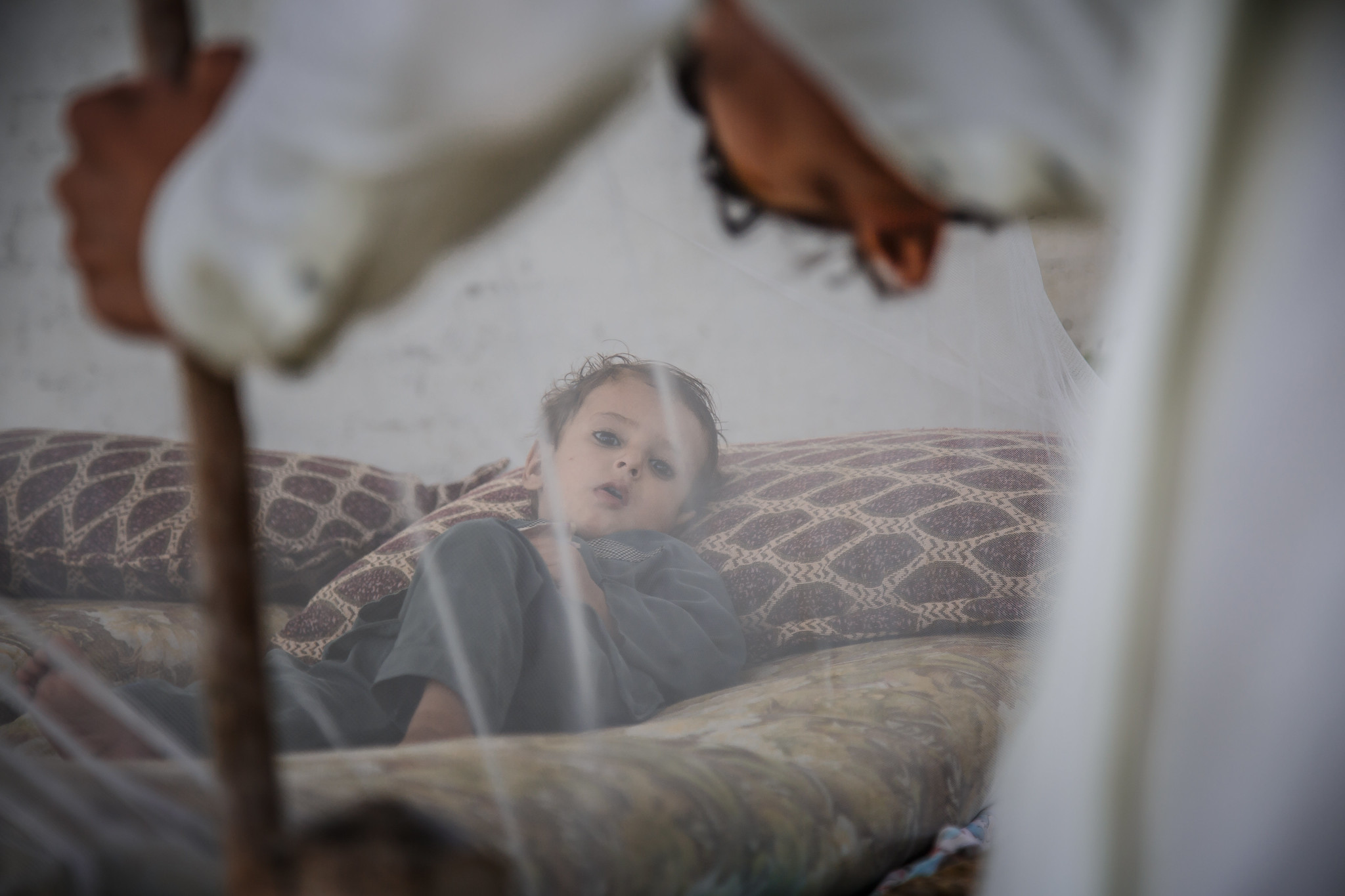 A man sets up a mosquito tent for a child who is lying down on pillows