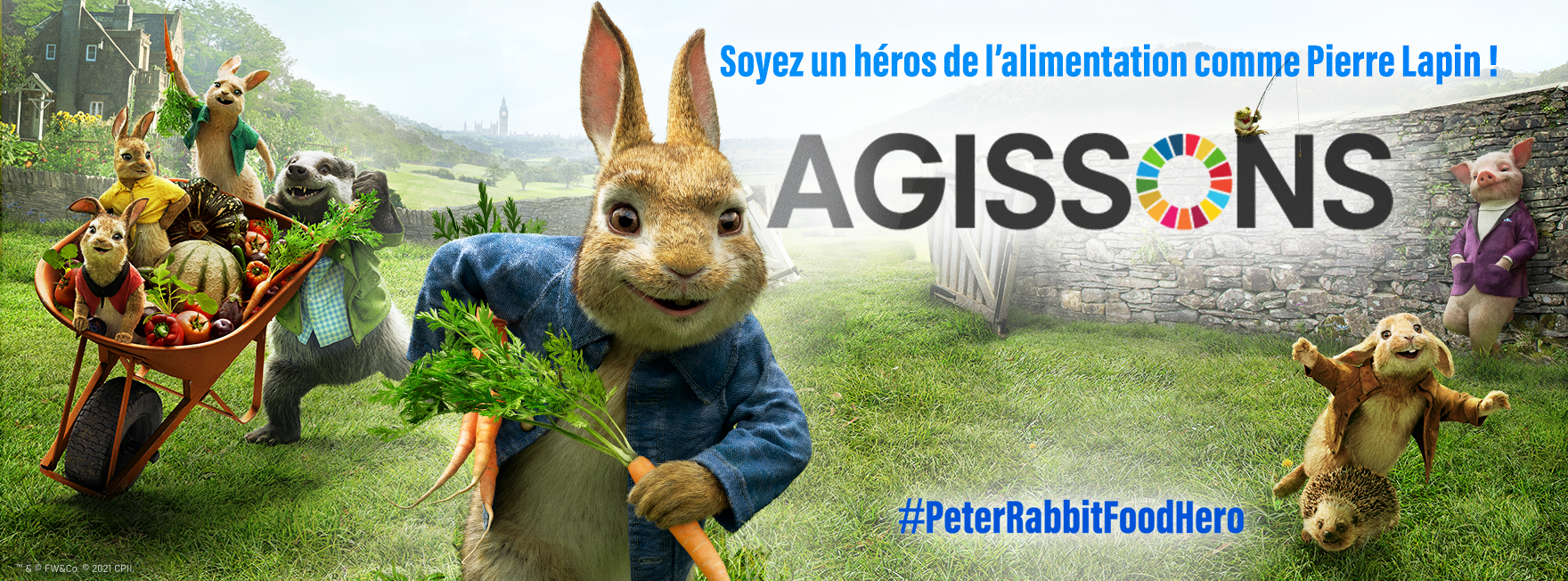 Affiche de Pierre Lapin, lien vers la vidéo