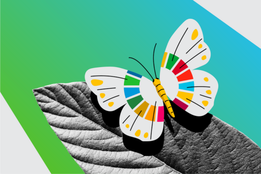 A black and white composition of a butterfly on a leaf, with the Sustainable Development Goals colored icon on her wings. 