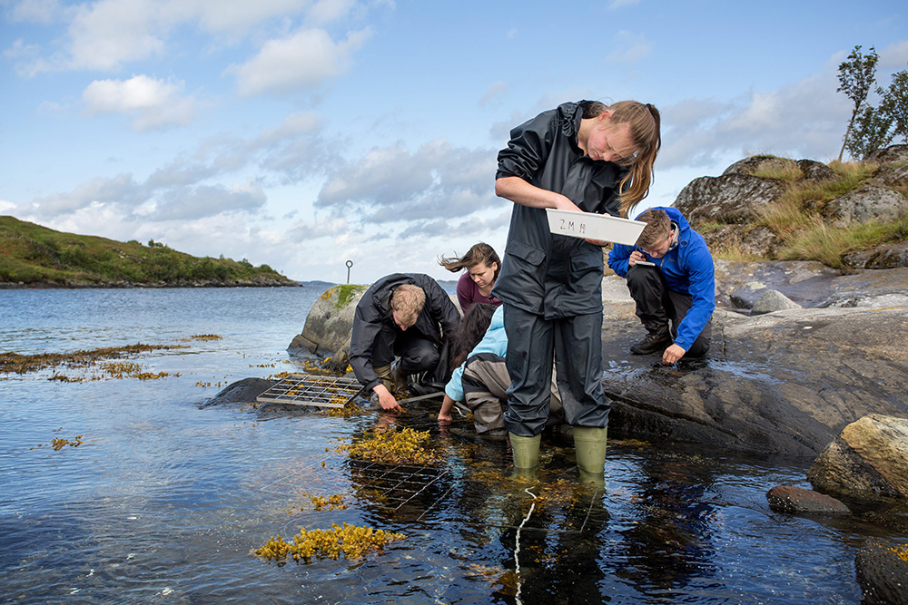 University of Bergen (Norway) is the UNAI hub for SDG 14: Life Under Water. 