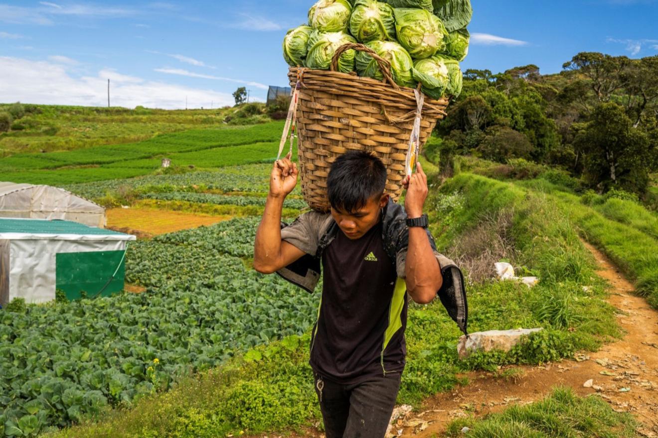 A man carrying a heavy basket of vegetables on his back.