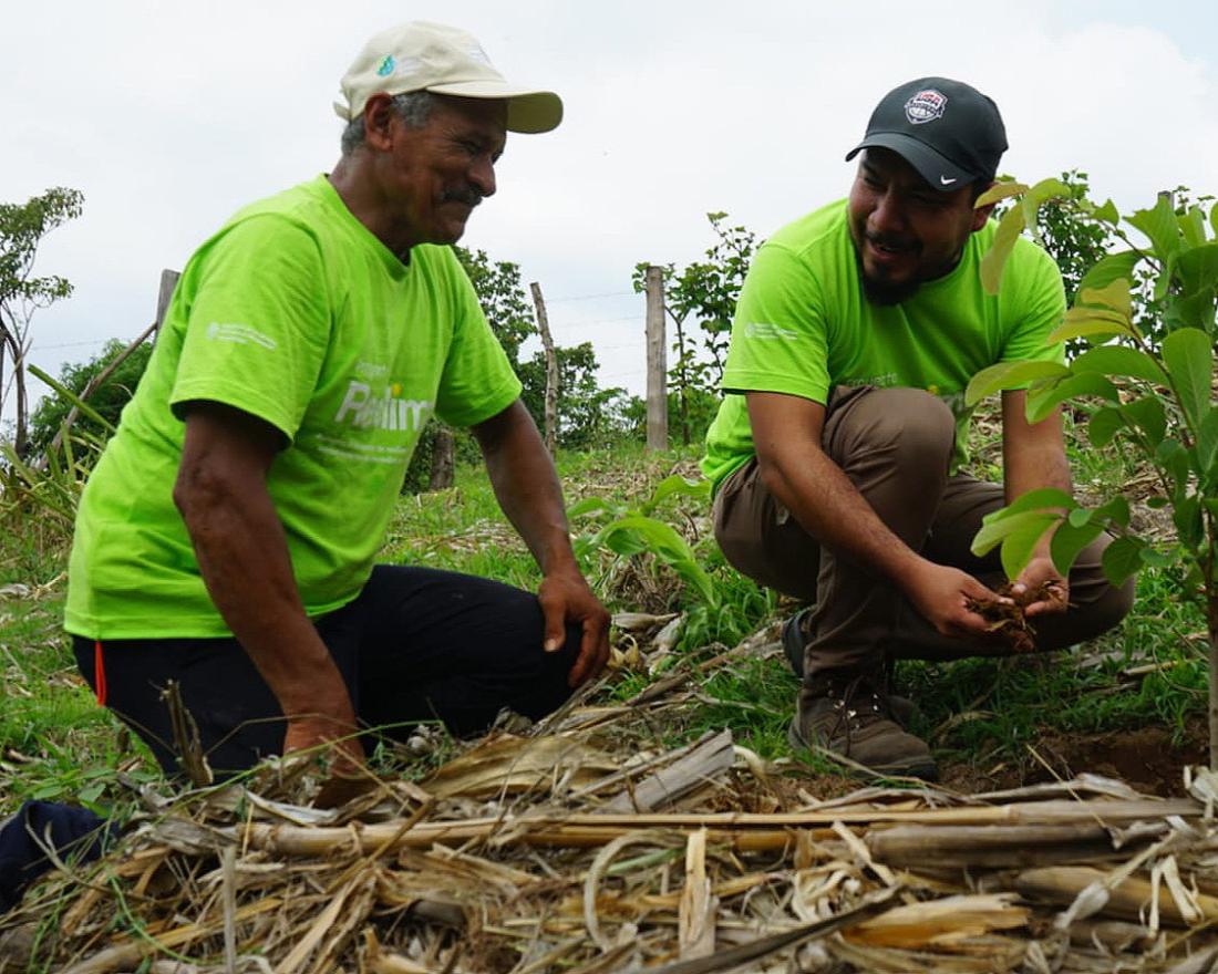 Deyx hommes agenouillés devant des plantes