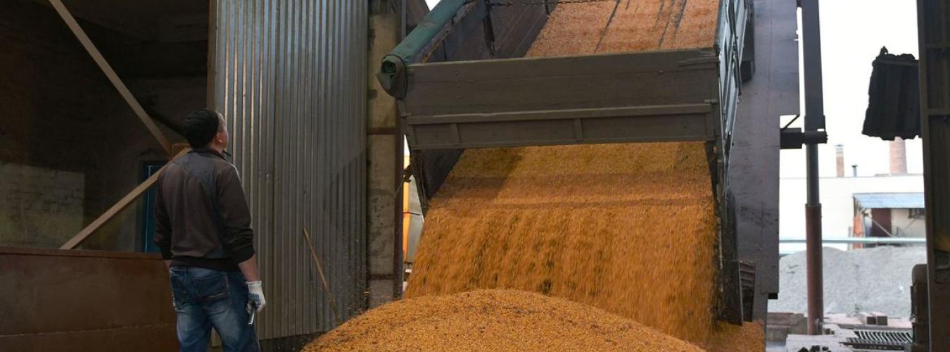 Truck unloads grain