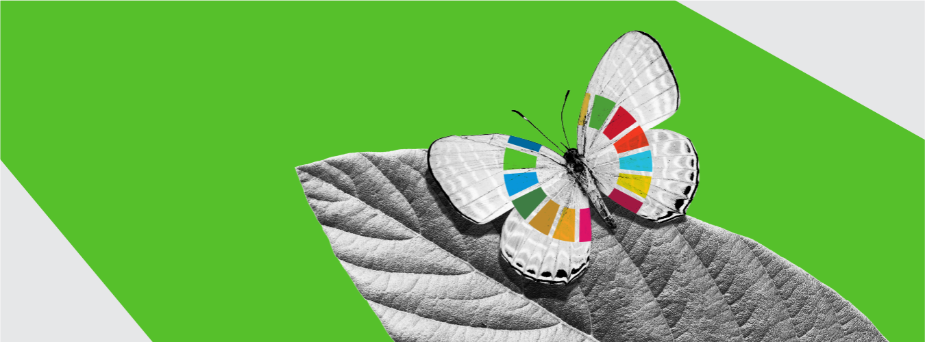 A black and white composition of a butterfly on a leaf, with the Sustainable Development Goals colored icon on her wings. 