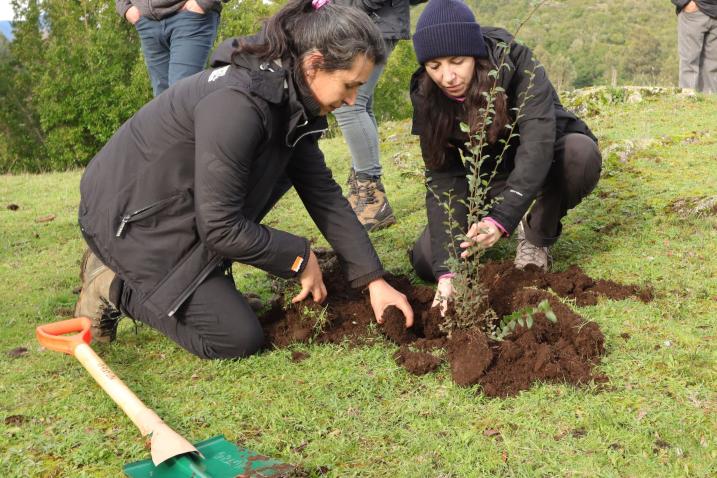 Two women in Chile plant a tree