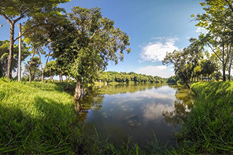 Represa com 10 mil m2 de extensão abriga grande variedade de peixes e abastece os tanques de piscicultura 