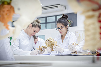 Laboratório de Anatomia Humana: são quatro laboratórios, que têm por objetivo o estudo e manuseio de modelos anatômicos e peças cadavéricas conservadas em solução de glicerina, bem como a dissecação e reparação das peças para estudo