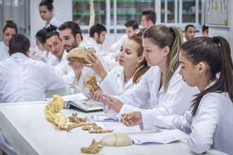 Laboratório de Anatomia Humana: são quatro laboratórios, que têm por objetivo o estudo e manuseio de modelos anatômicos e peças cadavéricas conservadas em solução de glicerina, bem como a dissecação e reparação das peças para estudo