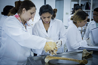 Laboratório de Anatomia Humana: são quatro laboratórios, que têm por objetivo o estudo e manuseio de modelos anatômicos e peças cadavéricas conservadas em solução de glicerina, bem como a dissecação e reparação das peças para estudo