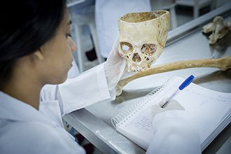 Laboratório de Anatomia Humana: são quatro laboratórios, que têm por objetivo o estudo e manuseio de modelos anatômicos e peças cadavéricas conservadas em solução de glicerina, bem como a dissecação e reparação das peças para estudo