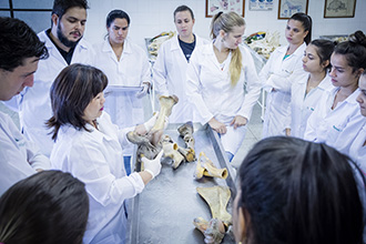 Laboratório de Anatomia Animal 1 e 2: tem como principal objetivo dar suporte aos acadêmicos em atividades de dissecação e preparo de peças anatômicas de animais 