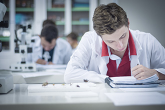 Laboratório de Entomologia: tem como objetivo gerar, adaptar e validar tecnologias ambiental e socialmente sustentáveis, de base ecológica, para o manejo de pragas (insetos e ácaros)