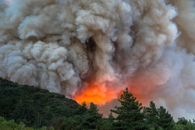 Should you buy wildfire insurance?
