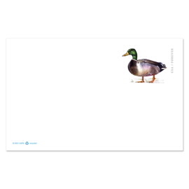 Mallard Stamp Card