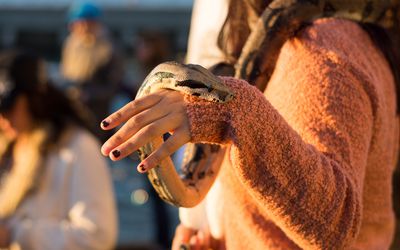 Close-Up Mid Section Of Woman Holding Python