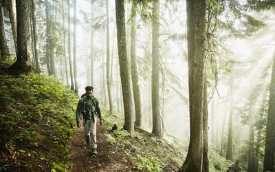 Man hiking alone in the woods