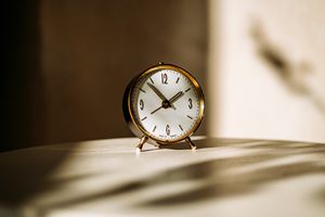 close up of a small black antique alarm clock, in a warm light and shadow of plants