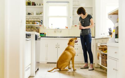 woman rewarding dog for good behavior