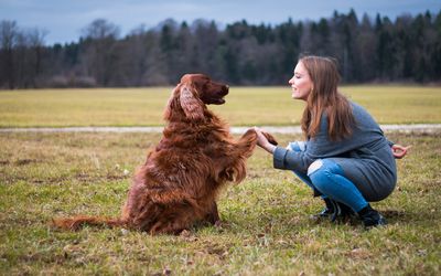 Training dog