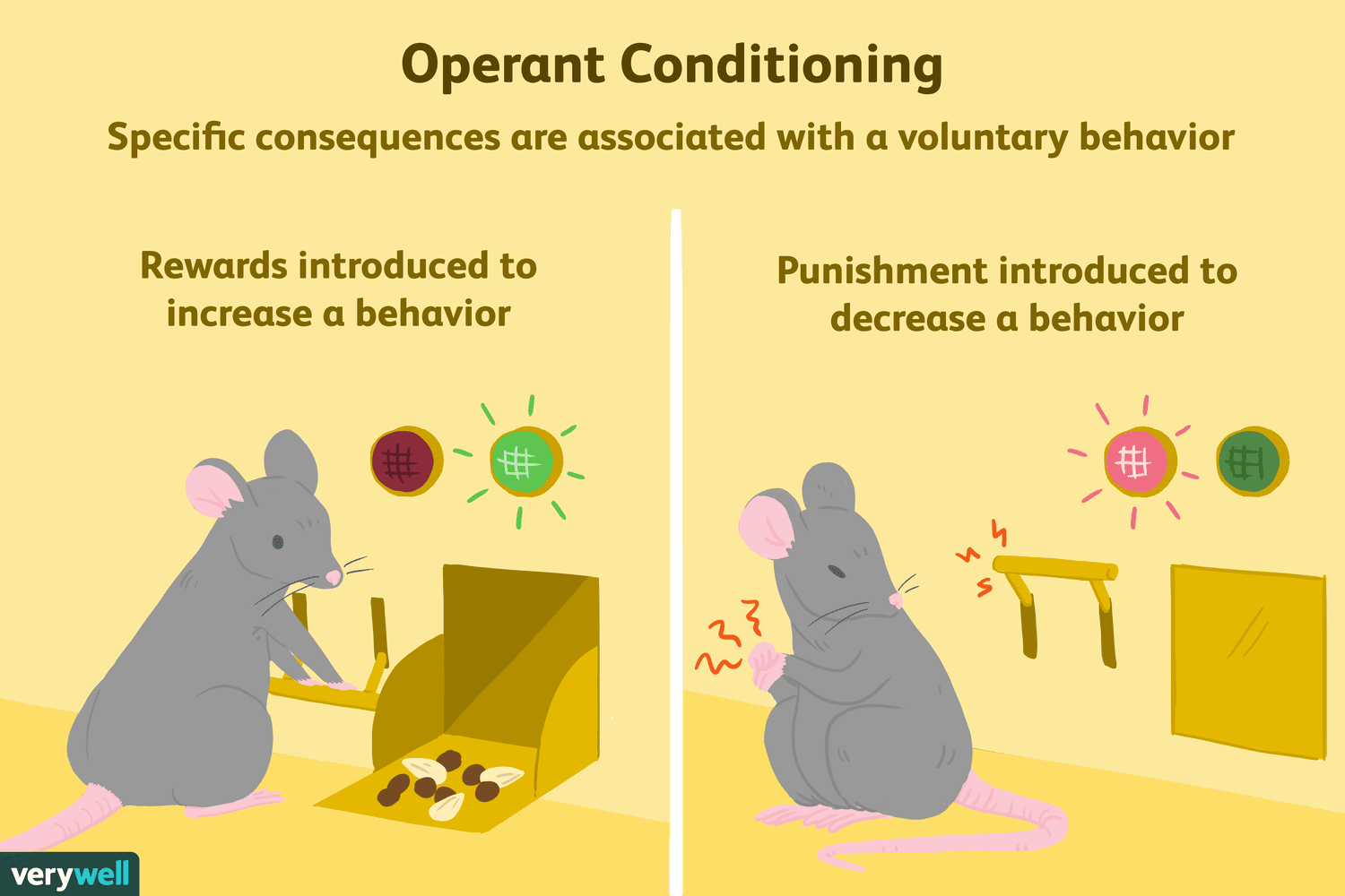 operant conditioning