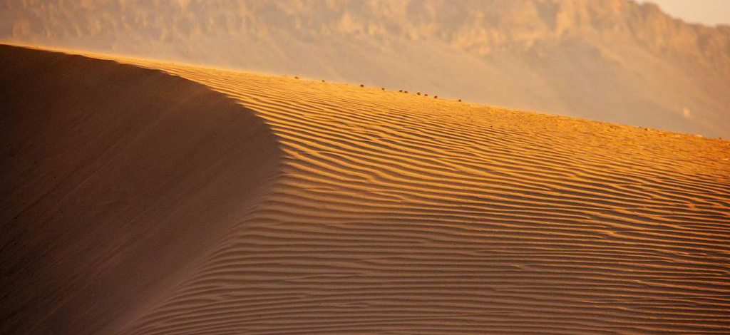 zagora dune and beautiful sun tourism in morocco