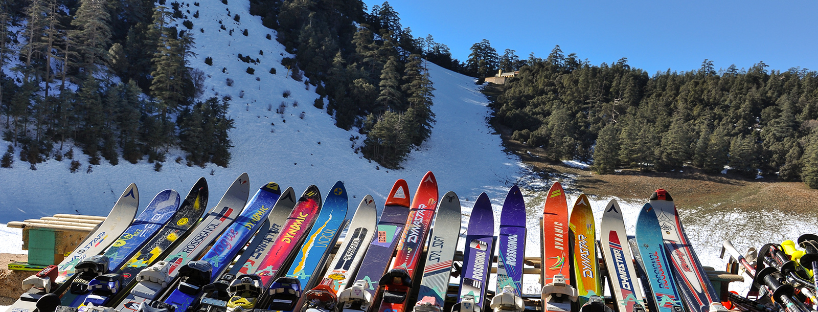 ifrane more snow and more sport and fun in the michlifin sastion in morocco