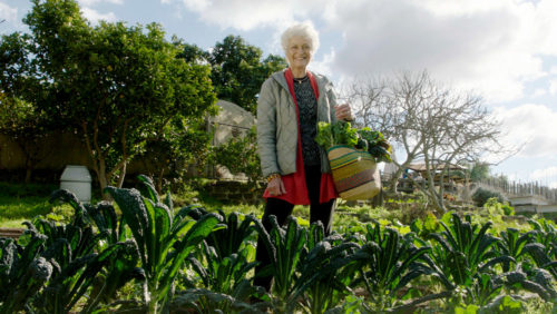 Professor Fiona Stanley