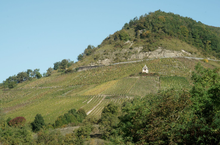 Contraction des volumes et marche vers le bio dans le Bugey