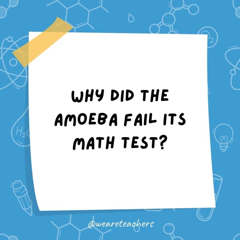 Why did the amoeba fail its math test?