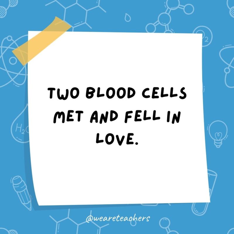 Example of science jokes: Two blood cells met and fell in love. Alas, it was all in vein.