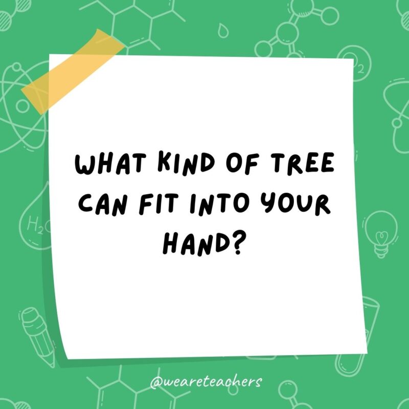 What kind of tree can fit into your hand? A palm tree.