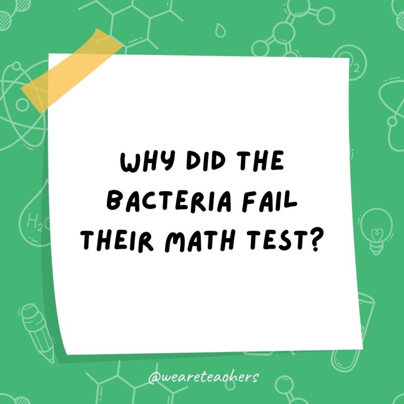 Why did the bacteria fail their math test?- science jokes