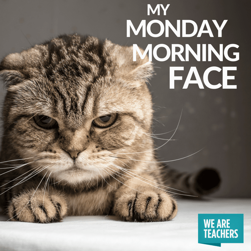 Teacher Meme Morning Face 