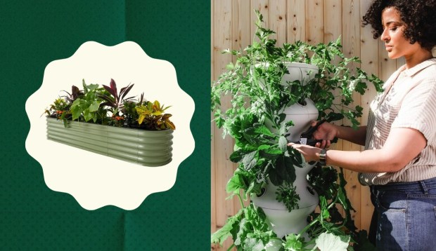 These 7 Best Raised Beds Will Take Your Garden to the Next Level—Literally