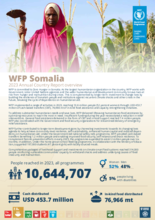 Annual Country Reports - Somalia