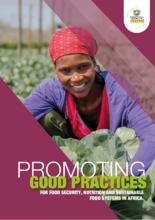 Promoting good practices for food security, nutrition and sustainable food systems in Africa