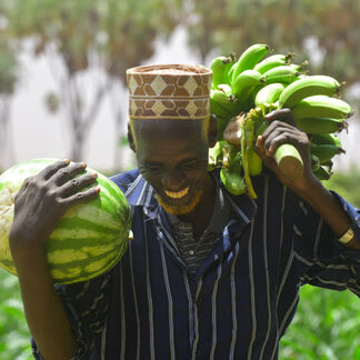 Farmer carrying watermelon and a bunch of bananas harvested from his farm