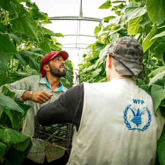 WFP and the Ministry of Agriculture collaborate to boost food security governance with a management information system and a roadmap for food system transformation.