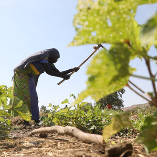 people working in the field