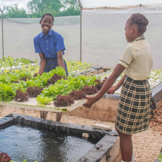 two school girls are carrying plants in flowerpot