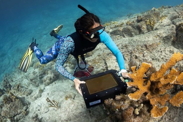 Kalina Grabb with Disco on a coral reef