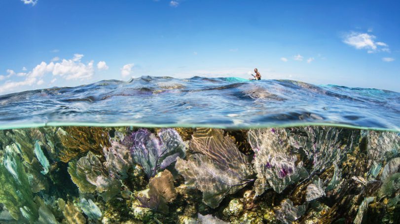 underwater paddle board