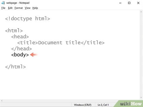 Step 8 Type <body> after the Head.