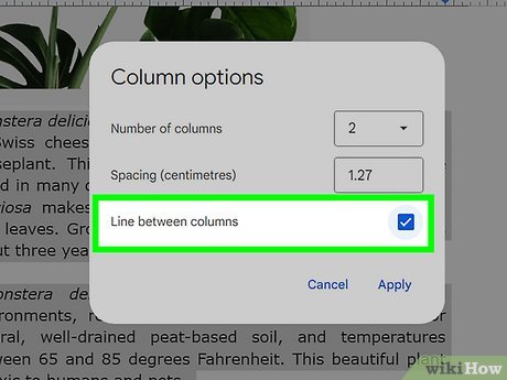 Step 5 Check the "Line between columns" option.