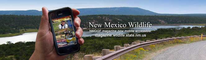 New Mexico Wildlife - NMDGF magazine now available online - magazine.wildlife.state.nm.us