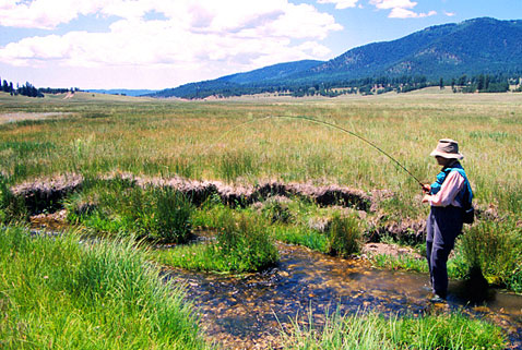 Angler in a northern stream - more opportunities with Open Gate public access to private land property, New Mexico Game and Fish