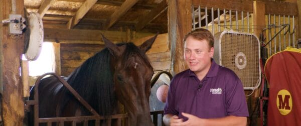 Harrah’s Hoosier Park to Host Horse Race to Benefit Retired Race Horses  