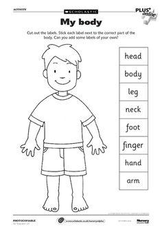 Label Body Parts Worksheet for Kids