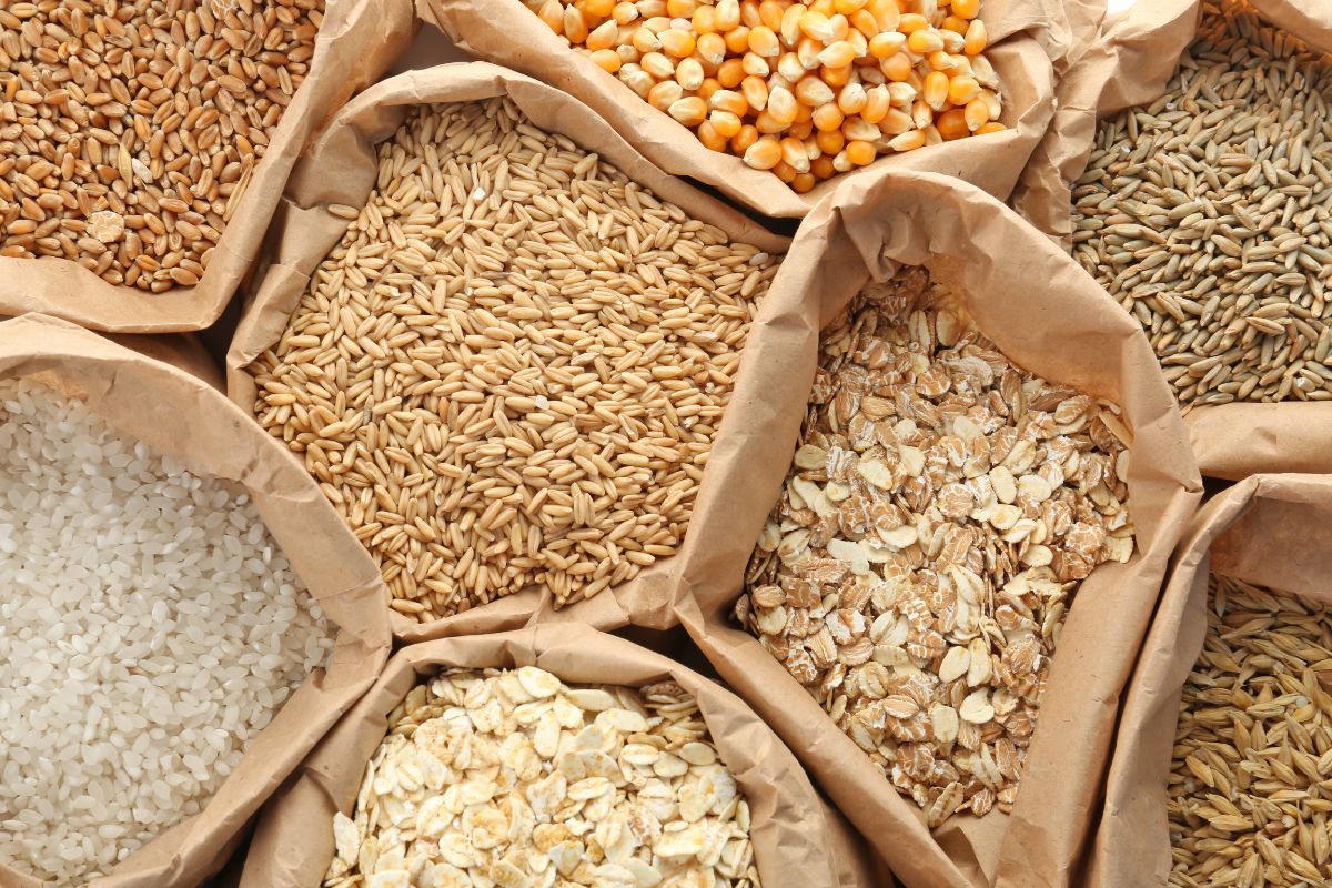 grains bags organic_©NEW AFRICA - STOCK.ADOBE.COM_e.jpg