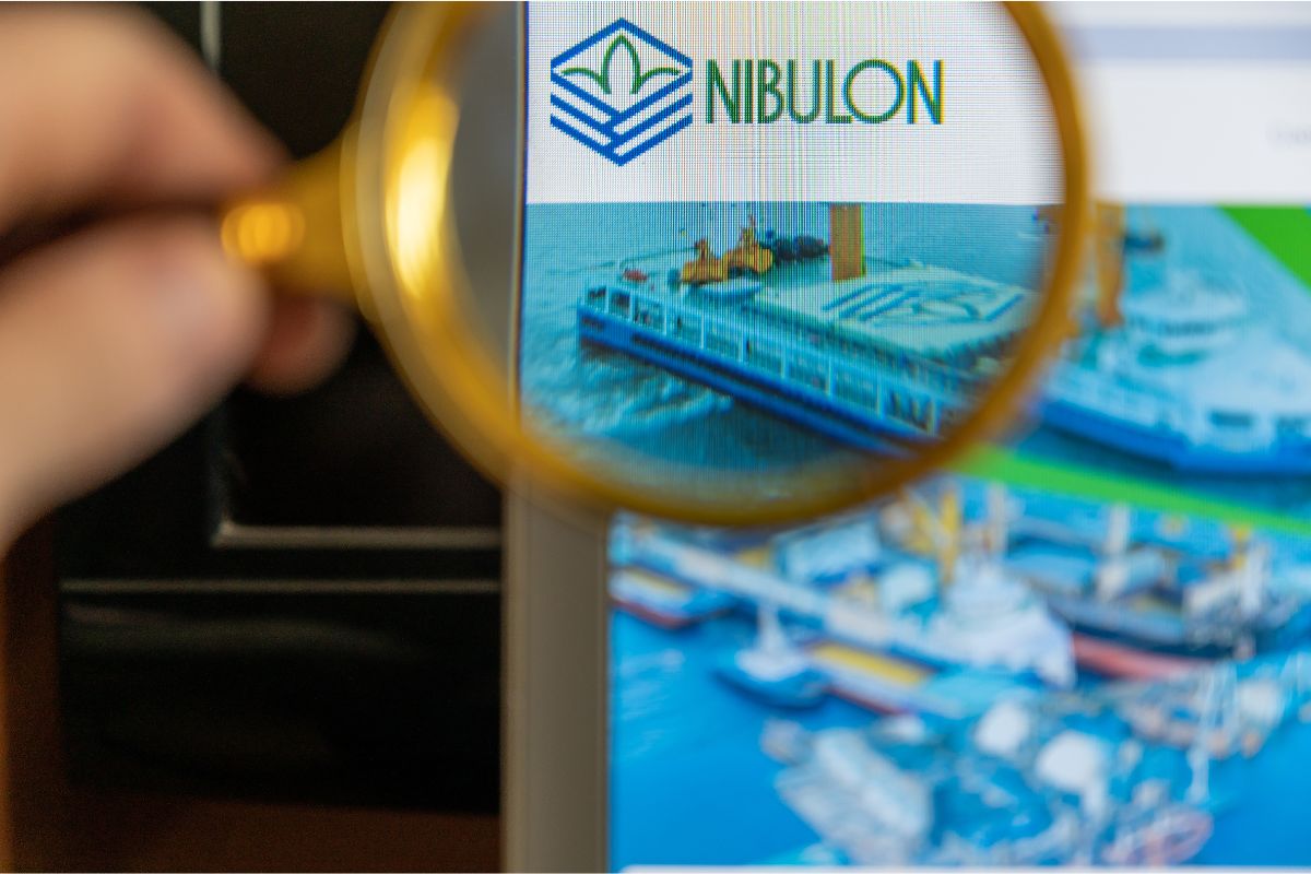 Nibulon_logo_©MIKHAIL - STOCK.ADOBE.COM_e.jpg